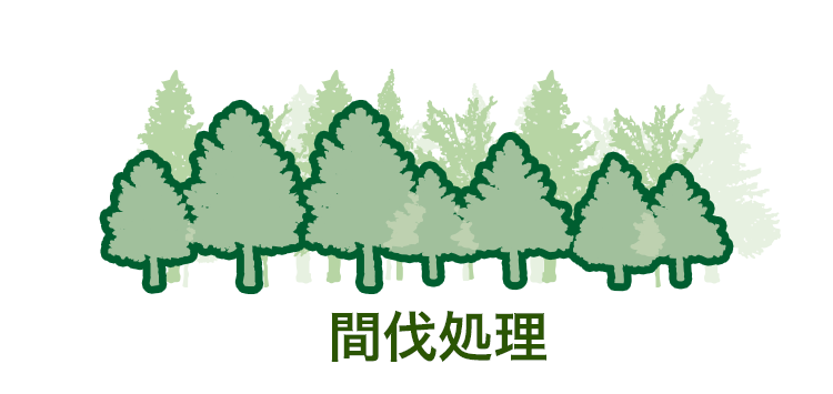 間伐処理、竹林、雑木林、高所